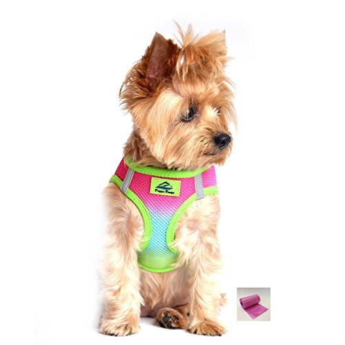 American River Rainbow Ombre Ultra Choke Free Harness Vest and bags set - Dog Sizes XS thru 3XL (Medium - Chest 16"-19", Rainbow)