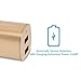 Tranesca Dual USB Port Travel Wall Charger with Foldable Plug Compatible with Battery Charger, Power Bank, MP3 Player, iPhone XS/XR/X/8/7/6S/Plus,Samsung and More-Gold