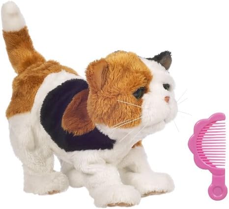 newborn calico kittens