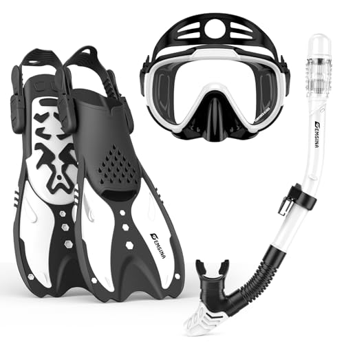 EMSINA Mask Fin Snorkel Set with Adult Snorkeling Gear, Panoramic View Diving Mask, Trek Fin, Dry Top Snorkel +Travel Bags, Snorkel for Lap Swimming