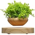 Levitating Air Bonsai Pot - Magnetic Levitation Suspension flower and air bonsai pot
