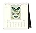 Cavallini Papers & Co 2018 Butterflies Desk Calendar