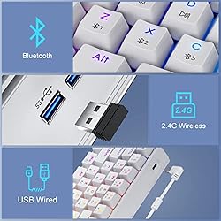 Tezarre TK61Pros 2.4G Wireless/Bluetooth/Wired