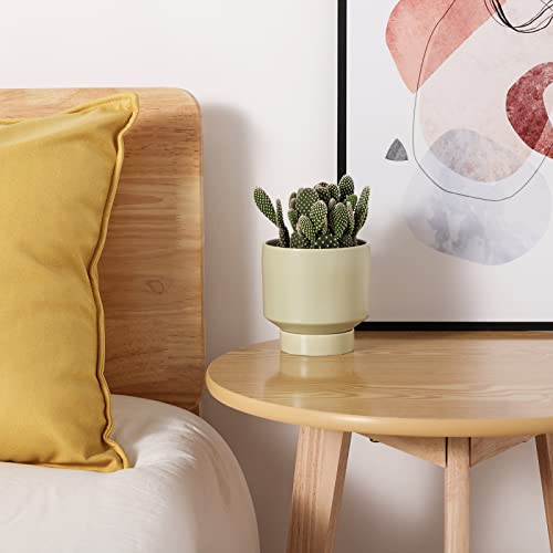 JOFAMY Ceramic Plant Pots, Scandinavian 2 pcs Mint Green Flower Pots with  Drainage Holes and Saucer, 5.5/4.5 Inch Ceramic Planter for Small Plants, Succulents  Cacti, Balcony Desk Dresser Decoration