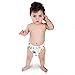 Reusable Swim Diapers 0-36 Months Old Boys & Girls - Adjustable for Babies & Toddlers - by BusyBaBee (Sea Life)