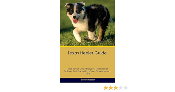 texas heeler training