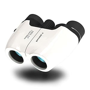 personal-α 双眼鏡 10倍 10×22 6.5° (white)