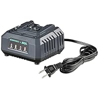 Amazon Brand - Denali by SKIL 20V 2.4A Standard Charger, Blue