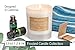 Vanilla Scented Candles | Soy Candles for Men & Women | Vanilla Bean Candle, Scented Soy Candles for Home, Lasting Scented Candles, Scented Candle Soy Candle, Aromatherapy Candle