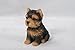 Hi-Line Gift Ltd Sitting Yorkshire Terrier Puppy, Brown/Black, 6.5