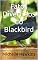 Livro Fatos Divertidos do Blackbird: Fatos Divertidos sobre Pássaros para Crianças #4