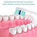 Replacement Toothbrush Heads for Philips Sonicare 2 Series Plaque Control, HX6211, fit ProtectiveClean, DiamondClean, Gum Health, HealthyWhite, HX9028 Brush Head by DeBizz
