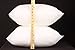 Pal Fabric (Set of 2) 16x16 Square Sham Soft Cotton Feel Microfiber Pillow Insert Made in USA (16x16)