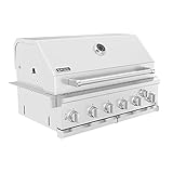 Spire Premium 6 Burner Built In Gas Grill Island