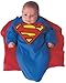 DC Comics Superheroes: Superman Costume Bunting for Babies by Rubies, Boy's One Size
