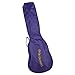 Diamond Head DU-108 Rainbow Soprano Ukulele - Purple