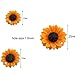 NX Garden 12PCS Orange Sunflower Girasoles Daisy Flowers Resin Flatback Cabochon With Hole For Necklace Earrings Ring Bracelet Handmade DYD 3 Size