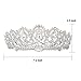 ANBALA Bridal Queen Tiara Crown, Luxury Bling Crystal Bridal Headband Prom Queen Pageant Princess Crown Hair Accessories for Women, Silver