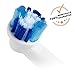 8pcs Replacement Toothbrush Heads For Braun Oral B SB-20A (8)