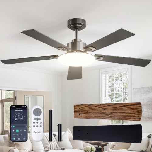 Passky 52 Inch Ceiling Fan