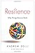 Resilience: Why Things Bounce Back - Book by Andrew Zolli