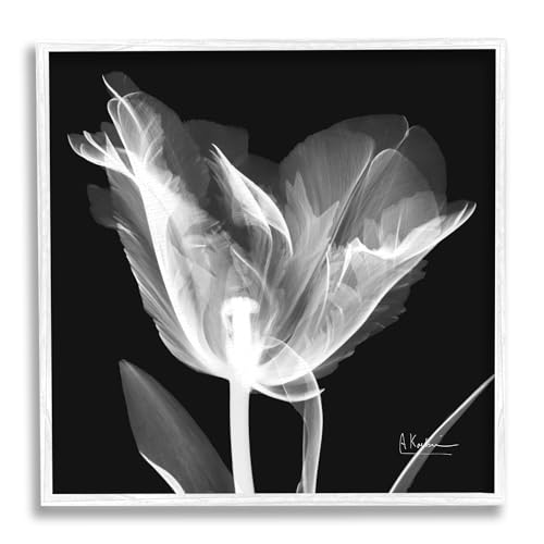 Stupell Industries Tulip Flower X-Ray Framed Giclee Art by Albert Koetsier