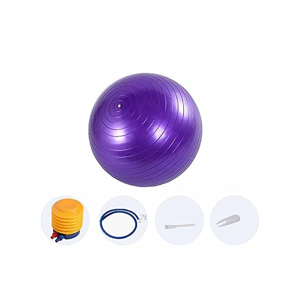 HKBTCH-Pilates-Ball-65cm-Extra-Thick-Anti-Burst-Exercise-Ball-With-Air-Pump-Non-Slip-Stability-Balance-Gym-Ball-For-Yoga-Pilates-Fitness-Pregnancy Pilates Ball, 65cm Extra Thick Anti-Burst Exercise Ball With Air Pump, Non-Slip Stability Balance Gym Ball For Yoga…