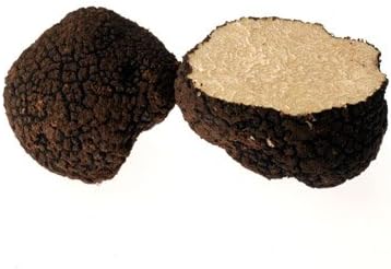 Fresh Black Italian Summer Truffles (2 ounce)