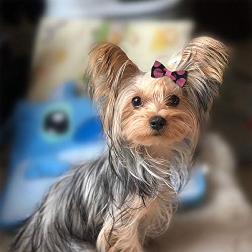 Popetpop 40個のかわいい犬の髪の弓 弾性犬の蝶結びのヘアバンド 小型犬の子犬の髪の蝶結びの結び目の装飾グルーミングの装飾 犬の髪のアクセサリー ランダムスタイル B07wp6c68x 1 765円 人気海外一番 100 品質保証 全品送料無料 即日出荷 Sale開催中