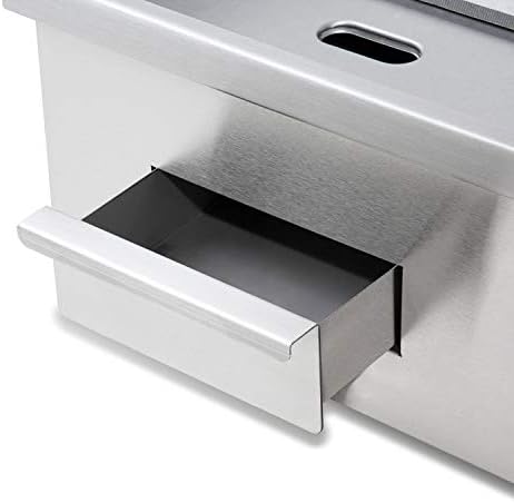 vertes 3000 W Plancha électrique professionnelle, lissé (Température jusqu'à 300 °C, Collecteur de graisse, Surface en fonte de 55 x 35 cm, Pieds en caoutchouc antidérapants)