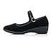 Sibba Women's Mary Jane Round Toe Platform Wedges