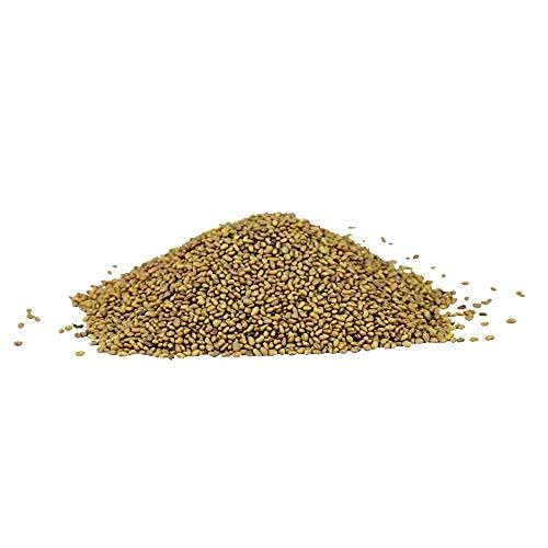 ALFALFA SPROUTING SEED | NON GMO | GROWN IN USA | FROM OUR FARM TO YOUR DOOR (1 POUND (16OZ))
