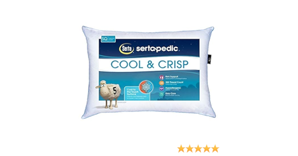 Sertapedic Cool Crisp Pillow S Q 20 X 28 Pack Of 2 Amazon Ca Home
