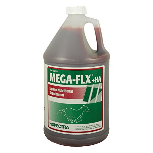 + HA Equine, Gallon (128 oz)