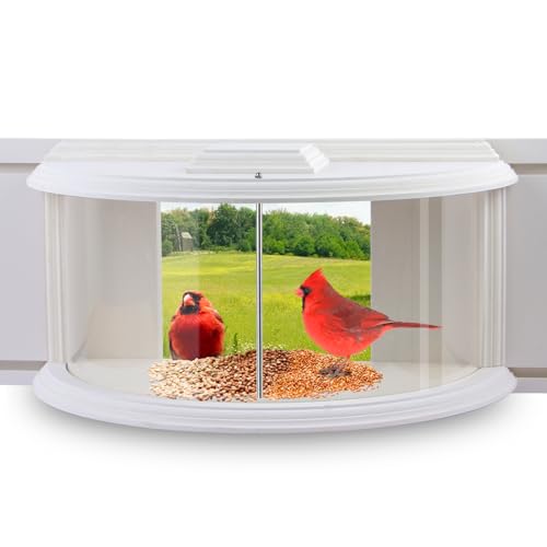 JOYSEUS Mangeoire à Oiseaux pour fenêtre, Vue Claire à 180°, Durable et élégante mangeoire à Oiseaux pour Observer Les Oiseaux – Adoptez Le Plaisir de la mangeoire à Oiseaux.