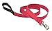 Dog Leash by Lupine in 1