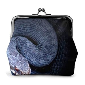 41vIK3hbtyL. SS300 Hermosa Serpiente HD PU Cuero Exquisito Hebilla monederos Monedero Vintage clásico Beso-Cerradura Cambiar Monedero… 41vIK3hbtyL. SS300