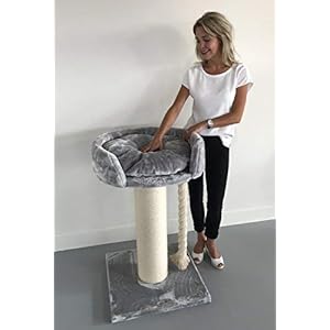 Tiragraffi per gatti grandi xxl Chartreux Grigio Chiaro maine coon robusto adulti grande gatto albero enormi giganti XL