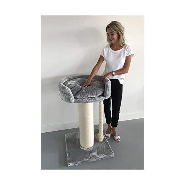 Tiragraffi per gatti grandi xxl Chartreux Grigio Chiaro maine coon robusto adulti grande gatto albero enormi giganti XL