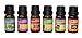 100% Pure Therapeutic Grade Essential Oil (Blended) 6 Scents of 10ML Combo Set (De-Stress, Muscle Relief, Kama Sutra, Slim, Anti Anxiety, Calm Down) Aromatherapy