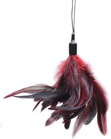 Greygasms Scarlet Plume Feather Tickler, 0.06 Pound (Pack Of 12) by GreyGasms