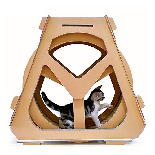 ferris cat exercise wheel