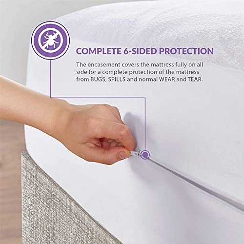 Degrees of Comfort Mattress Encasement King Size Bed Bug Proof Cover