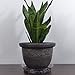 Decorative Plastic Flower Pot for Indoor and Outdoor Use