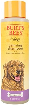 Burt’s Bees for Pets for Dogs Natural Calming Shampoo with Lavender and Green Tea
