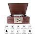 Vinyl Record Player, Bluetooth Record Player Built-in 2 Stereo Speakers, FM/AM Radio, USB/SD Play & Encoding,AUX in, RCA Line Out, Turntable Vinyl Records Record Player