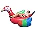 Giant Inflatable Pool Floats for Adults - Inflatables Parrot Float Lounger Raft - Summer Swimming Toys