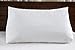 Web Linens Inc One - Wedge Pillow - 100% Cotton Shell - for Bed, Couch, Floor - Exclusively by Blowout Bedding RN# 142035
