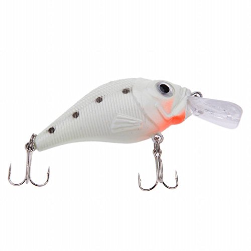 Smartcoco Lot De 5 Leurres De Pêche De Nuit 3d Phosphorescents Vib Popper Crank Minnow Crayon Lumineux Leurre Artificiel Avec Boîte à Leurre