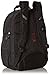 Swiss Gear SA3253 Black with Gray TSA Friendly ScanSmart Laptop Backpack - Fits Most 15 Inch Laptops and Tablets